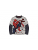Camiseta manga larga niño Spiderman - Super Hero Talla 8