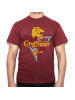 Camiseta adulto Harry Potter - Gryffindor Talla S