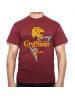 Camiseta adulto Harry Potter - Gryffindor Talla XXL